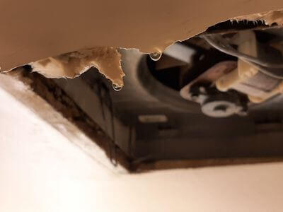 Professional water damage restoration services in Antelope - Vyntara Pro